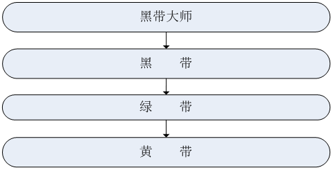 精益六西格瑪實施組織架構(gòu)和職能職責