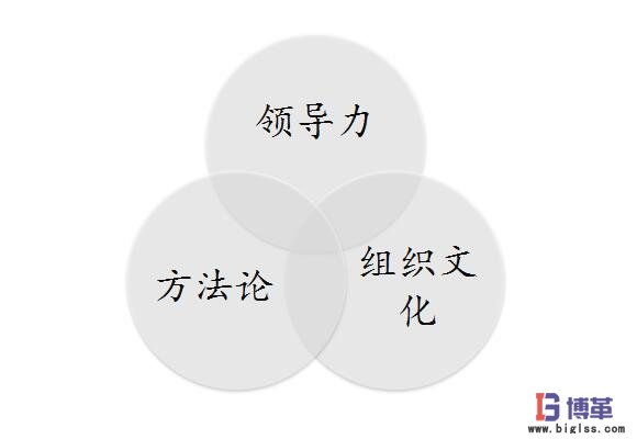 六西格瑪管理成功實施要素