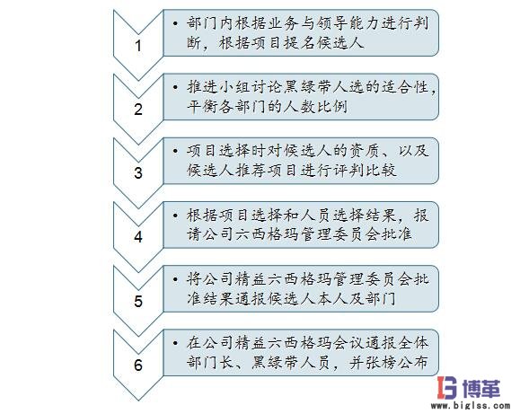 六西格瑪黑帶、綠帶人員的選擇